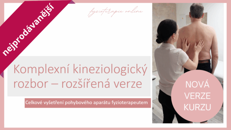online kurz kineziologický rozbor