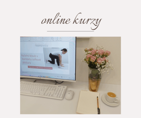 online kurzy